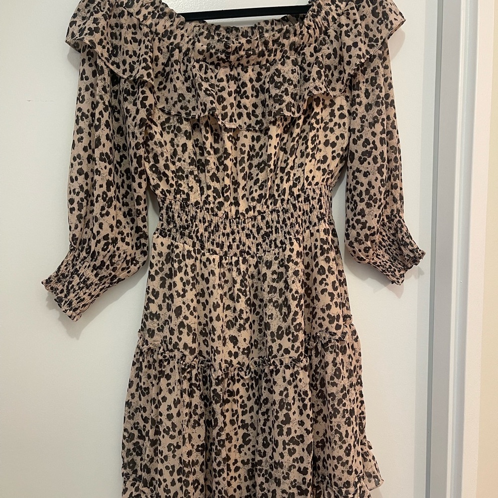 Fate Leopard Print Mini Dress